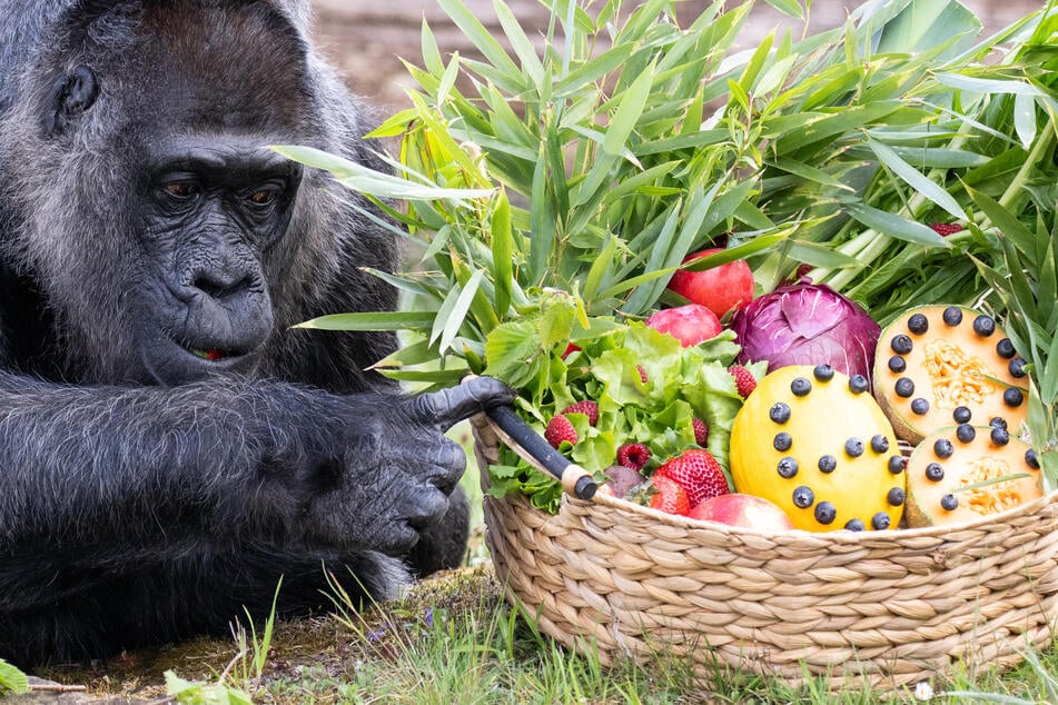 Zu ihrem Geburtstag im vergangenen Jahr bekam Fatou ein paar besondere Leckereien. (Archivfoto)