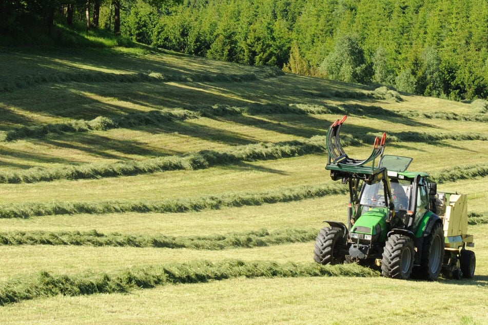 "Klein und kümmerlich": Thüringer Landwirte rechnen eher mit schwacher Ernte