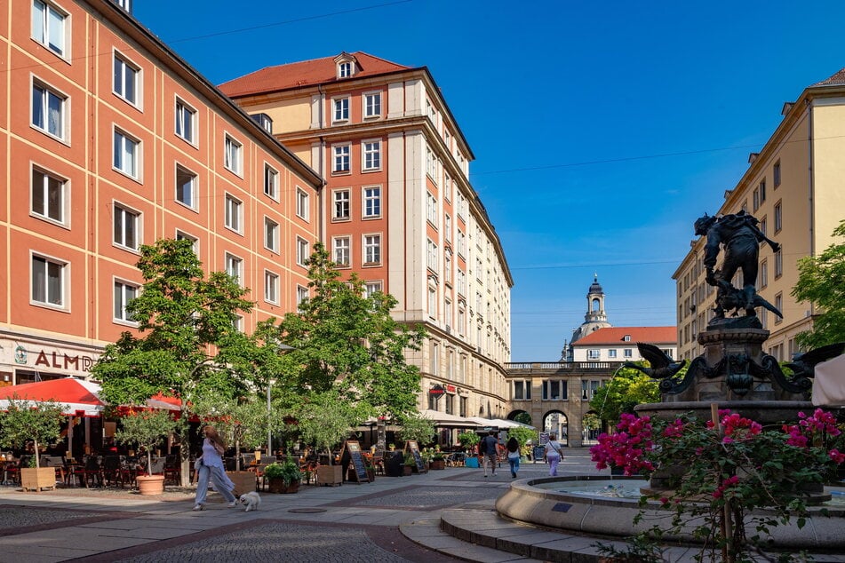 Das Tauben-Massaker fand unter den Dächern dieses sechsgeschossigen Hauses an der Weißen Gasse statt.