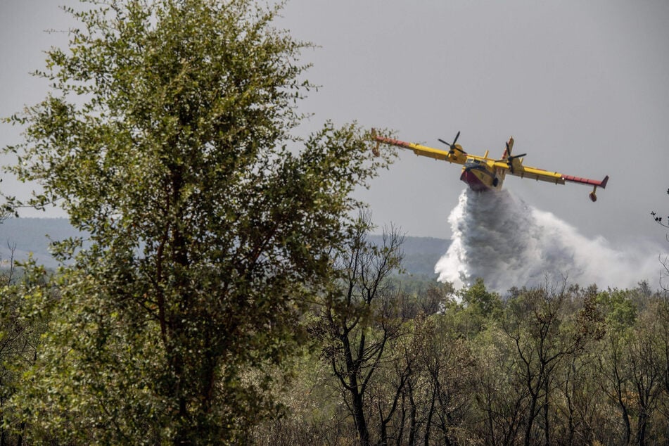 Löschflugzeug abgestürzt: Pilot stirbt beim Kampf gegen einen Waldbrand