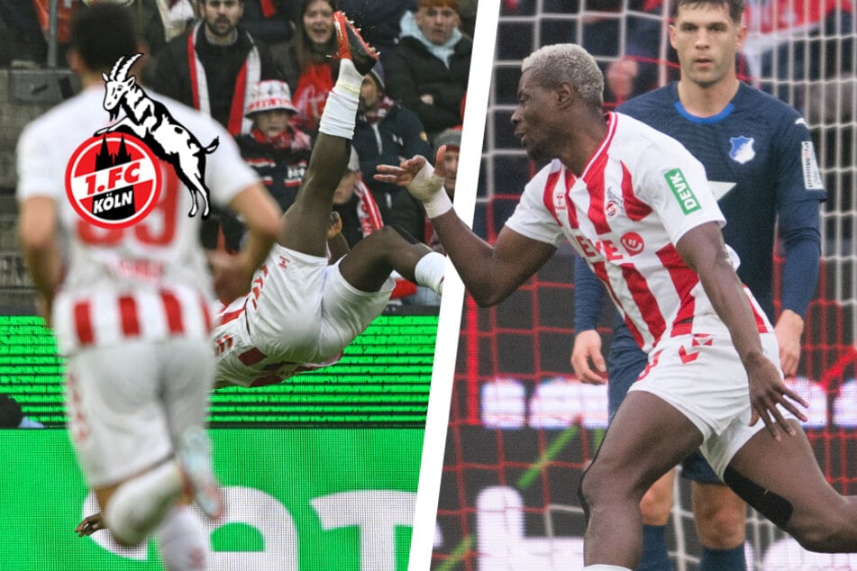 "Haben ihn auf dem Schirm": Darf sich Kölns "König der Lüfte" jetzt WM-Hoffnungen machen?