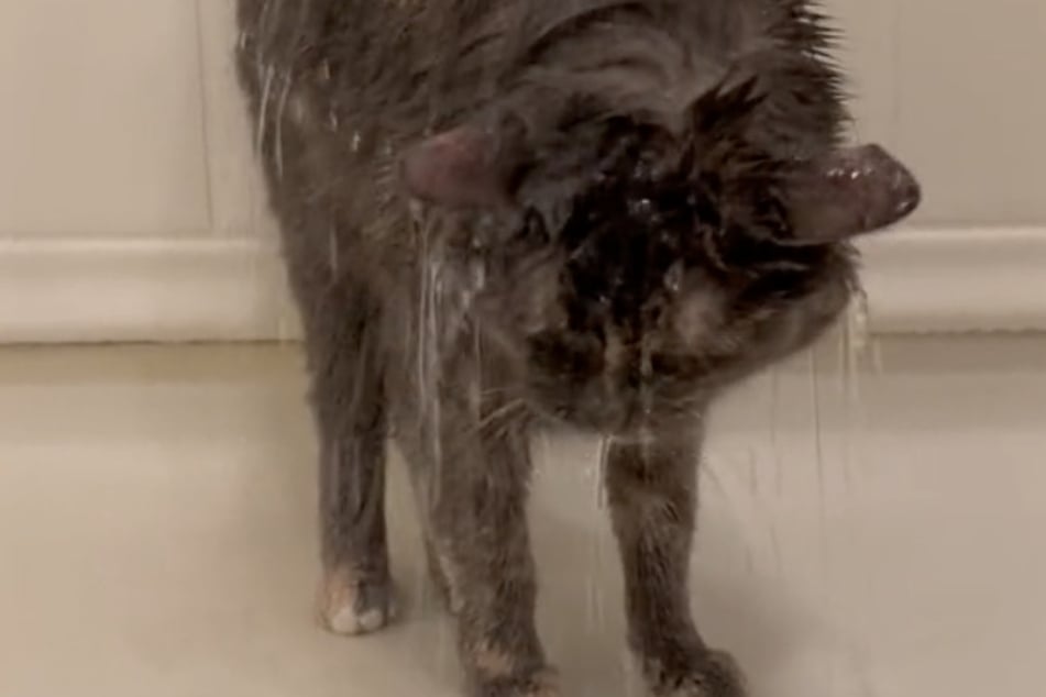 Einmal unter der Dusche will Pym am liebsten nicht mehr raus.