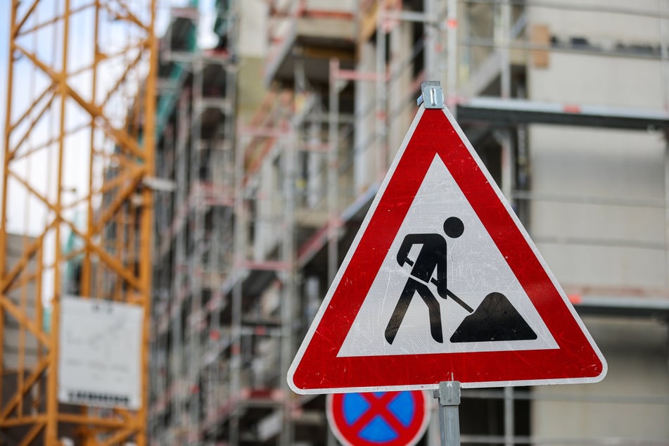 Um die Verkehrssicherheit auf der Luxemburger Straße in Köln-Sülz weiter zu gewährleisten, finden ab Montag (13. Oktober) umfangreiche Baumpflegearbeiten statt.