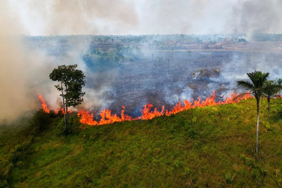 Fires are surging in the Amazon region.