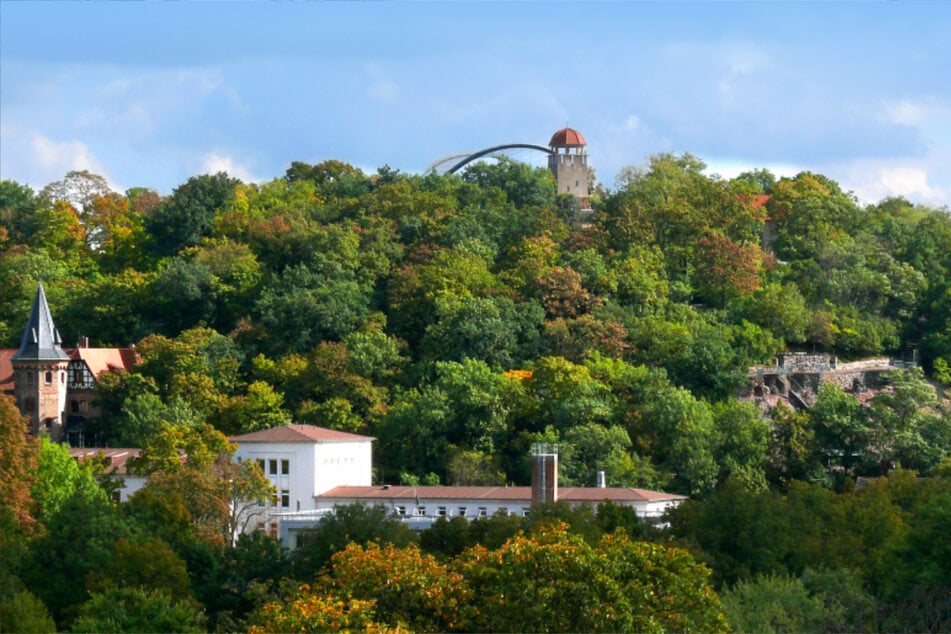 Aussicht auf den Bergzoo in Halle (Saale)