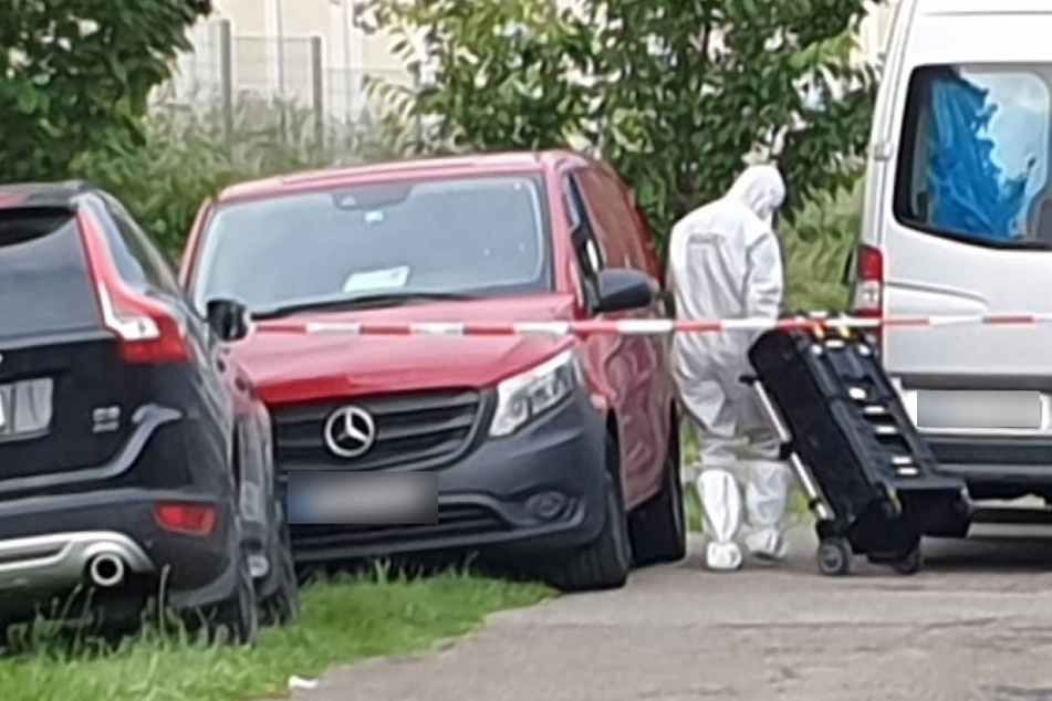 Fast ein Dutzend Mal zugestochen: Lebenslang nach Messer-Mord!