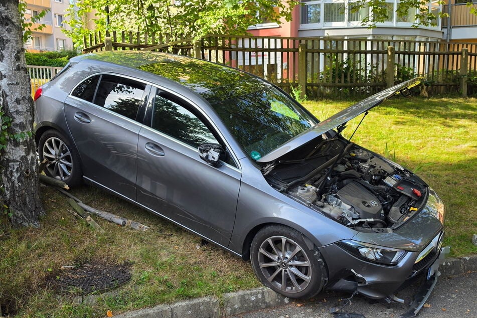 Einparken geht schief: Mercedes kracht gegen Baum und Zaun eines Kindergartens