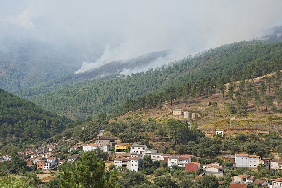 "Wahrscheinlichkeit von 99 Prozent": Feuerwehr spricht nach Waldbrand von Brandstiftung