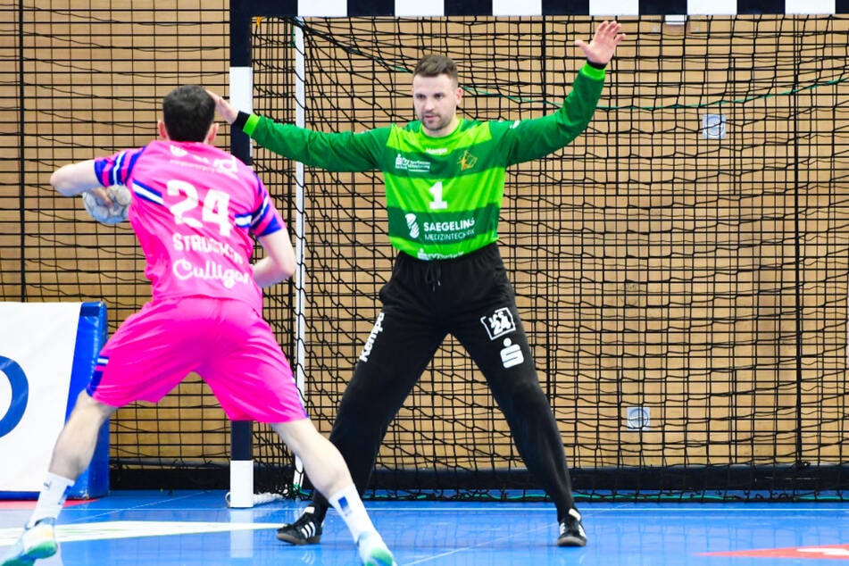 Deshalb lohnt sich die HC Elbflorenz Dauerkarte für die Saison 26/27