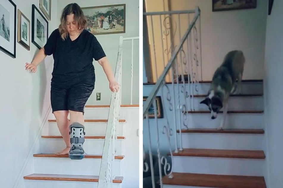 Like a mistress, like a dog: both descend the stairs with great care.