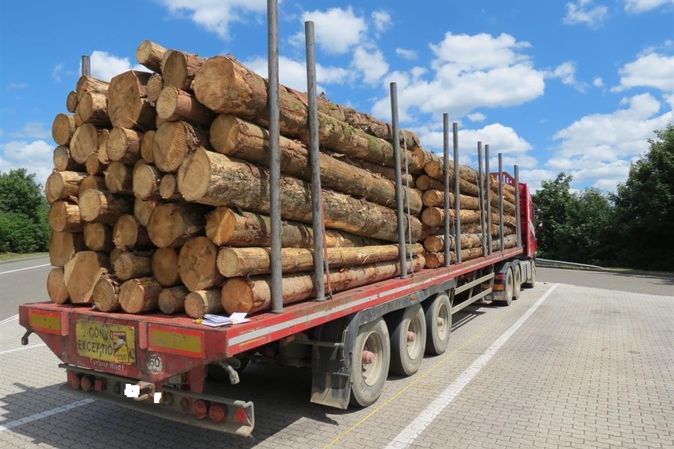 80 Zentimeter zu lang und 6,9 Tonnen zu schwer: Dieser Holztransporter hätte so niemals auf die Straße gedurft.