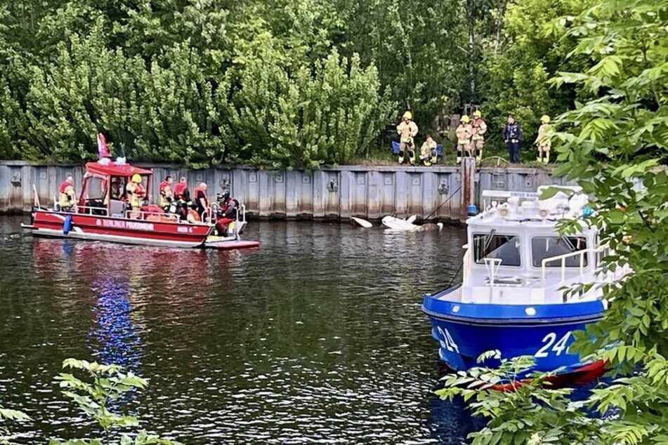 Die Feuerwehr schaffte es, das Boot zu sichern und abzuschleppen.