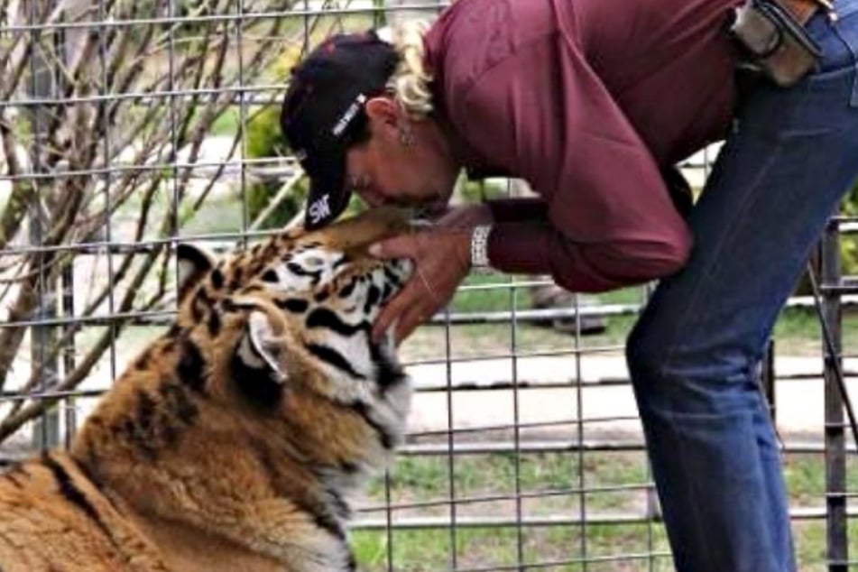 In der Netflix-Doku "Tiger King: Großkatzen und ihre Raubtiere" wird der Privatzoo von Joe Exotik (61) begleitet.