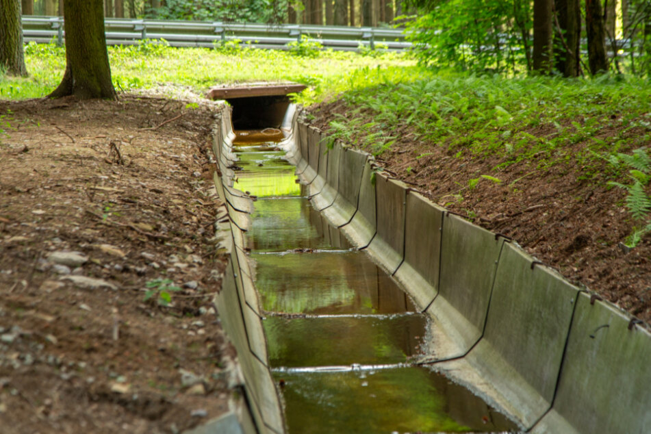 Nächster sächsischer Landkreis verhängt Wasserentnahmeverbot