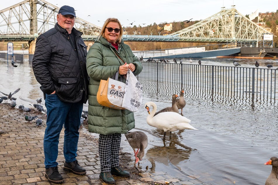 Conny (63) und Peter Jänig (64) gehen immer nach Weihnachten an die Elbe, schauen mit einer Mischung aus Faszination und Sorge auf den Fluss.