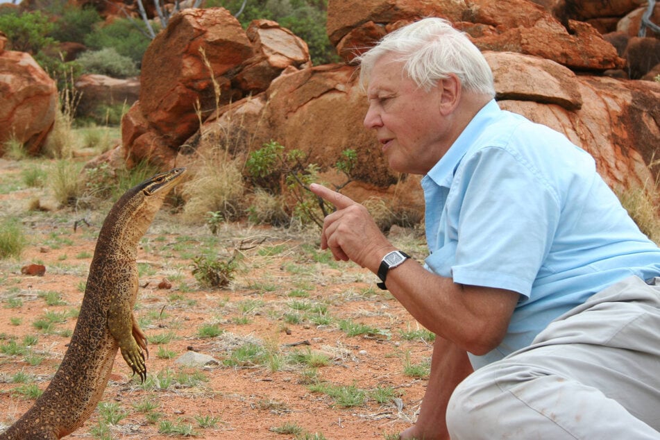 Sir David Attenborough is an icon of television and also a world record holder.