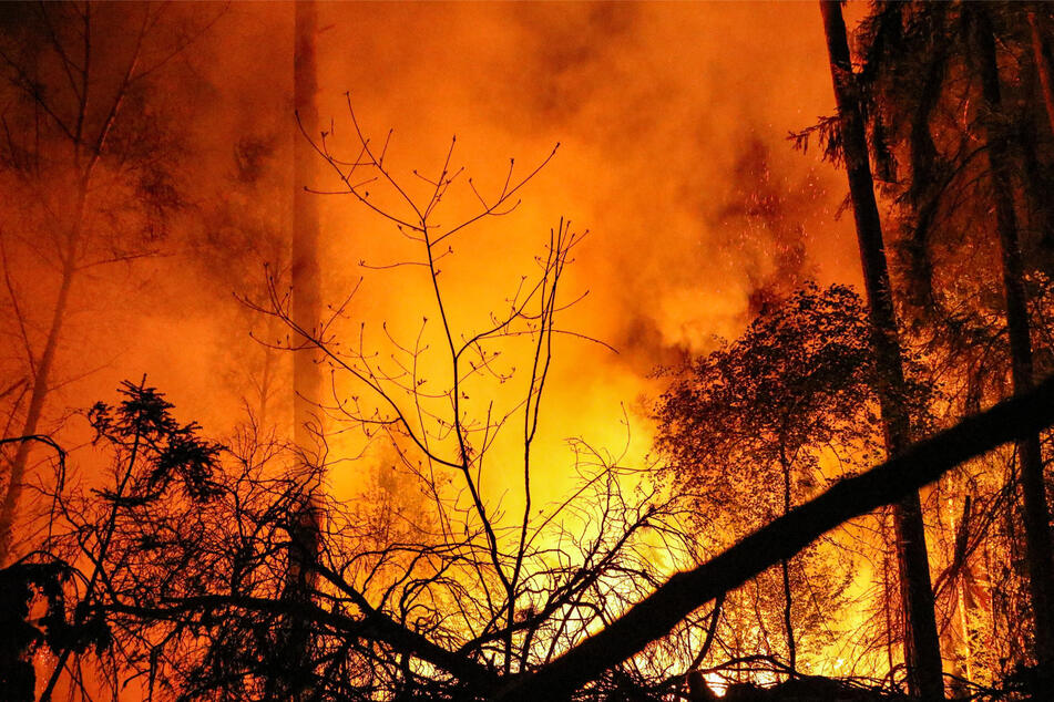Frankfurt: Massiver Waldbrand: Riesiger Feuerschein schreckte Anwohner auf