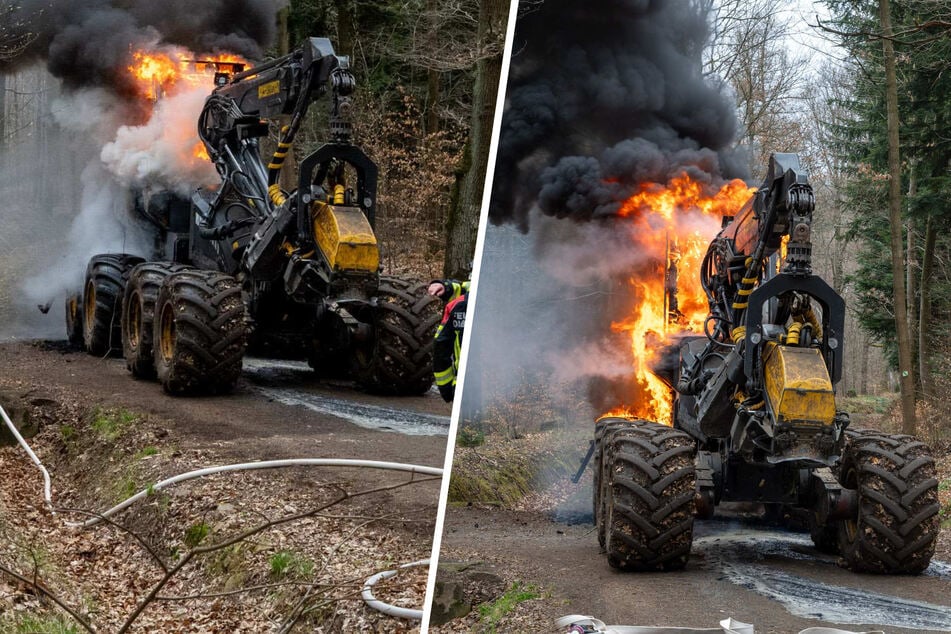 Dunkler Rauch und Mega-Sachschaden: Harvester in sächsischem Waldgebiet abgefackelt