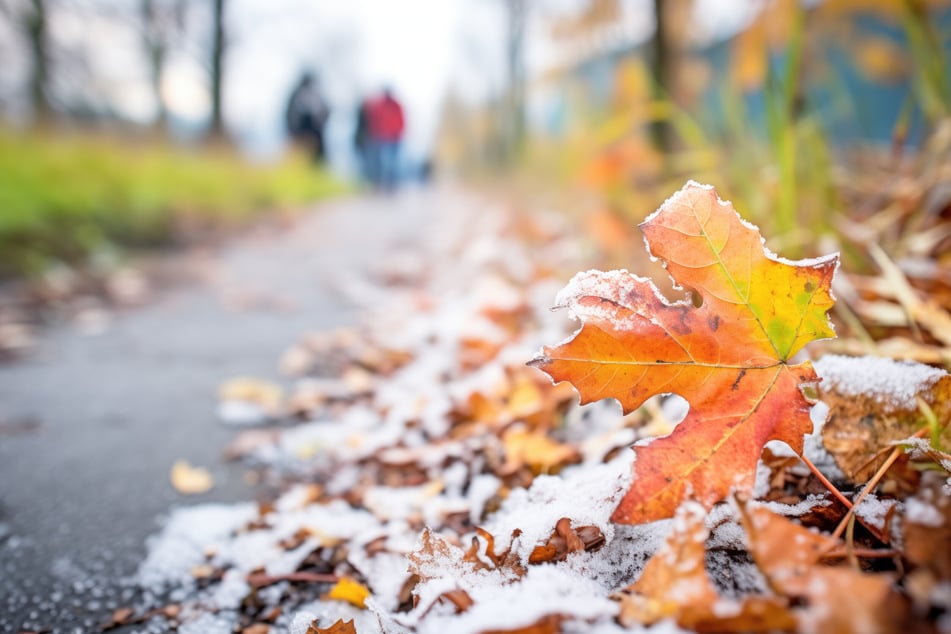 Der Deutsche Wetterdienst warnt vor Frost. (Symbolbild)