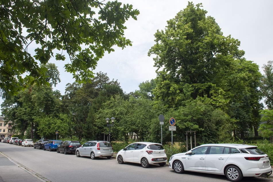 Auf der Nicolaistraße sprach der 22-jährige Deutsche zunächst die drei Frauen an, diese fühlten sich in seiner Gegenwart zunehmend unwohl. (Archivbild)