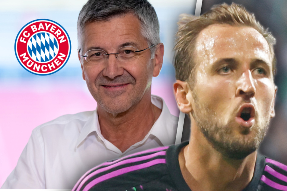 Kane-Traumdebüt in Bundesliga: Bayern-Präsident Hainer schwärmt