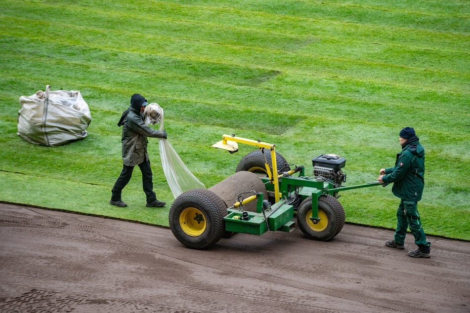Die letzten Bahnen Rollrasen werden gelegt. Am Freitag wird aufgekreidet und die Torlinientechnik aufgebaut.