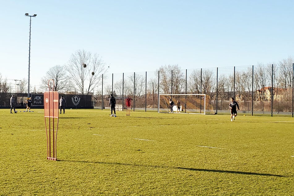 Auch zur Länderspielpause flitzten die Dynamos am Dienstag über den Platz.