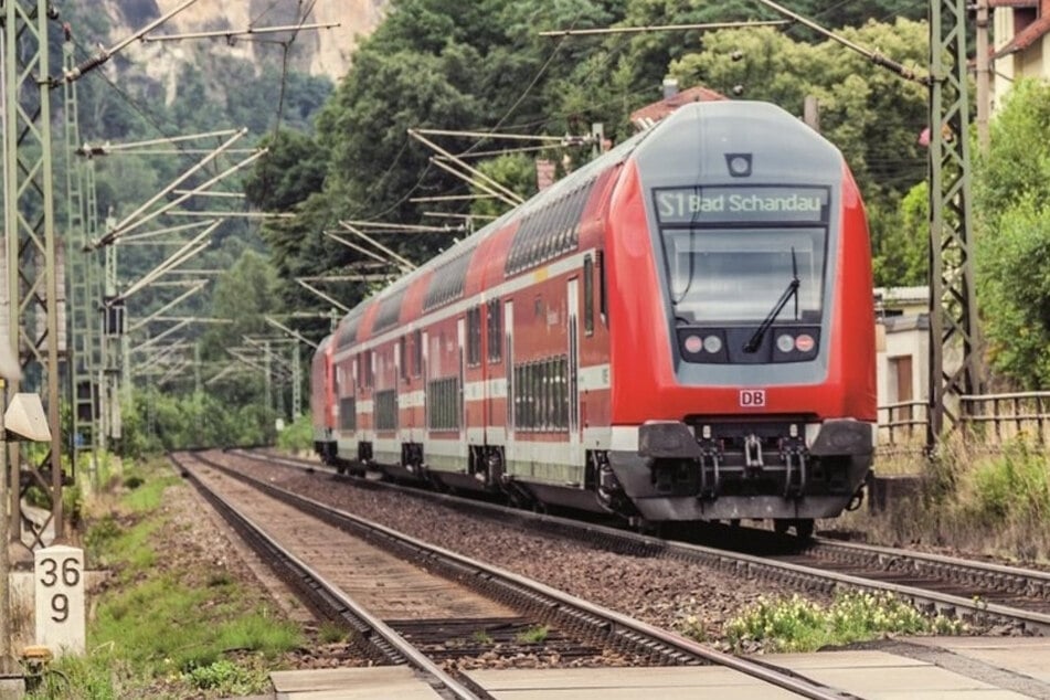 Wegen Bauarbeiten kann die S1 bis Sonntag tagsüber nur bis Bad Schandau fahren. (Archivbild)