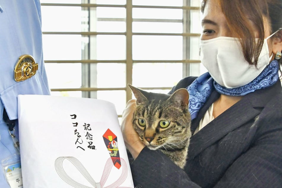 Tomoko Nitta (r) und ihrem Kater Koko wird in der Polizeistation eine Auszeichnung überreicht.