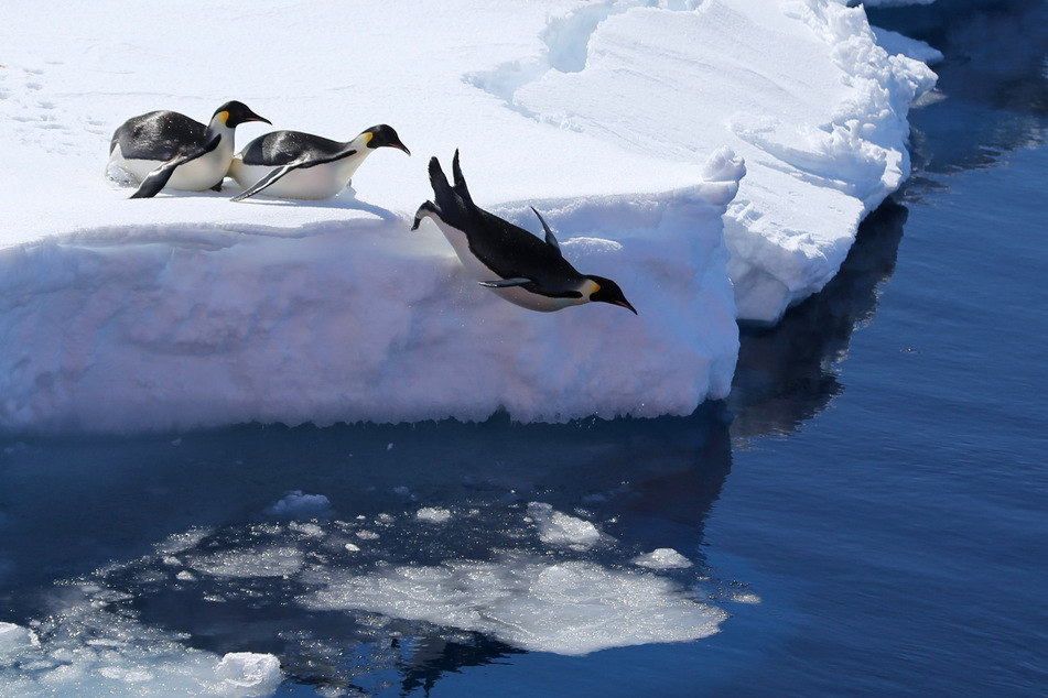 Der Klimawandel schreitet mit voller Wucht voran: In der Antarktis wird das Eis immer dünner. (Archivbild)