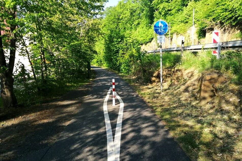 Gegen diesen Eisenpfahl mitten auf dem Weg war Wojciech geprallt.