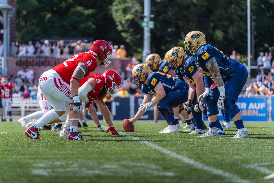 Revanche im Finale: Die Dresden Monarchs wollen es zu Hause wissen!