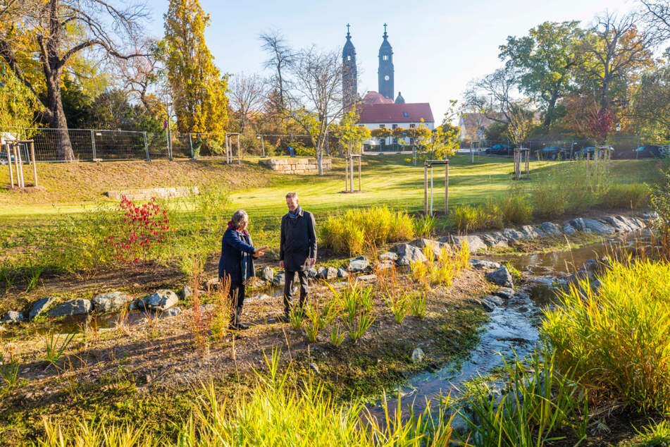 Bereits vor drei Jahren wurde der Kaitzbach am Dorfanger in Altstrehlen naturnah umgestaltet.