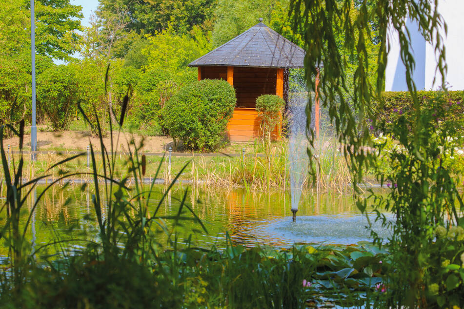 Die gepflegte Gartenanlage im Senioren-Wohnpark Neuruppin lädt zum Verweilen ein.