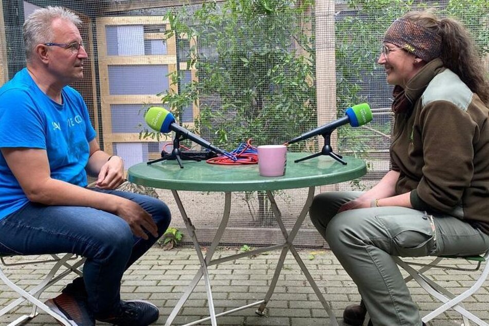 Janet Pambor war zu Gast bei Zooreporter Dirk Hentze im "Elefant, Tiger &amp; Co."-Podcast.