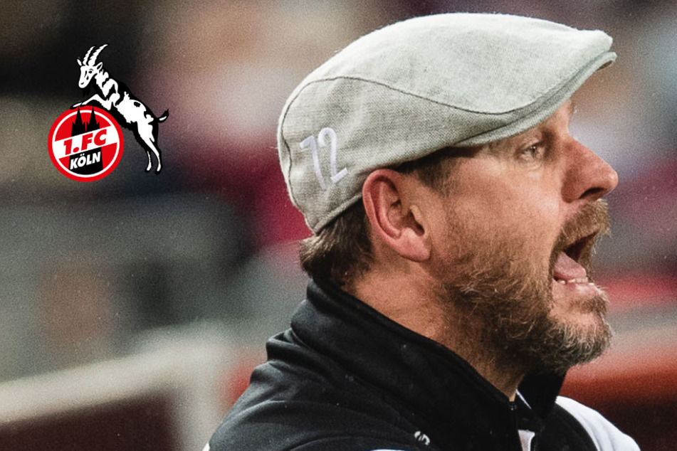 1. FC Köln: Baumgart legt sich in Torwart-Frage vorerst fest!