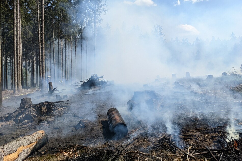 Im Süden von Euskirchen ist am Mittwoch auf einer gerodeten Waldfläche ein Feuer ausgebrochen.