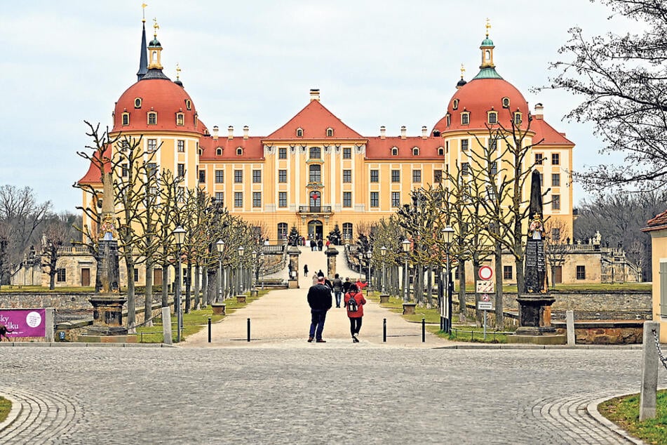 Schloss Moritzburg lädt zu einer interessanten Führung vom Keller bis zum Dach ein.