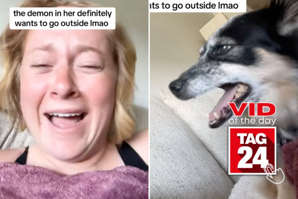 viral videos: Viral Video of the Day for July 18, 2025: "Demon" dog lets out terrifying howl when asked to go outside