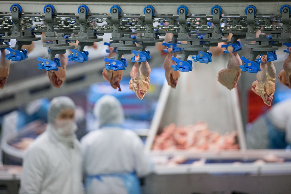Geflügelfleisch wird in den Produktionshallen des Geflügelproduzenten Wiesenhof verarbeitet.