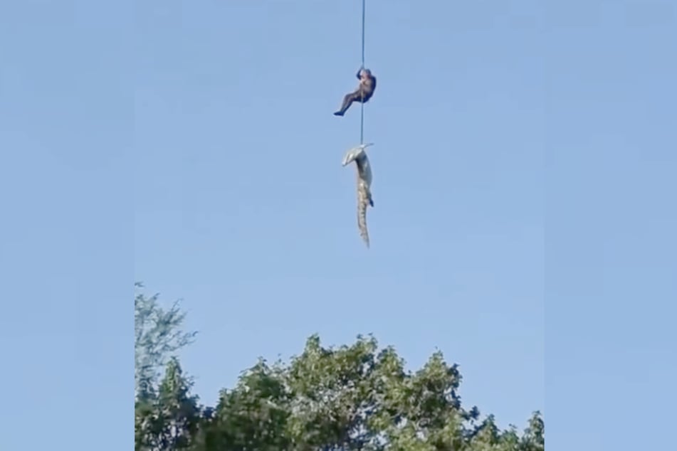 Polizist Johan "Pottie" Potgieter holte das riesige Krokodil in einer waghalsigen Aktion aus einem Fluss. Darin lauerten hungrige Artgenossen.