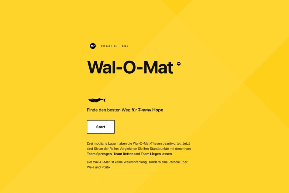 Nur das "H" fehlt: Der "Wal-O-Mat" sieht fast aus, wie das Original.