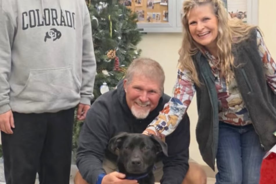 Happy End: Louie ist ausgerechnet von einer Familie aufgenommen worden, die für ihn neun Stunden lang Auto fahren musste.
