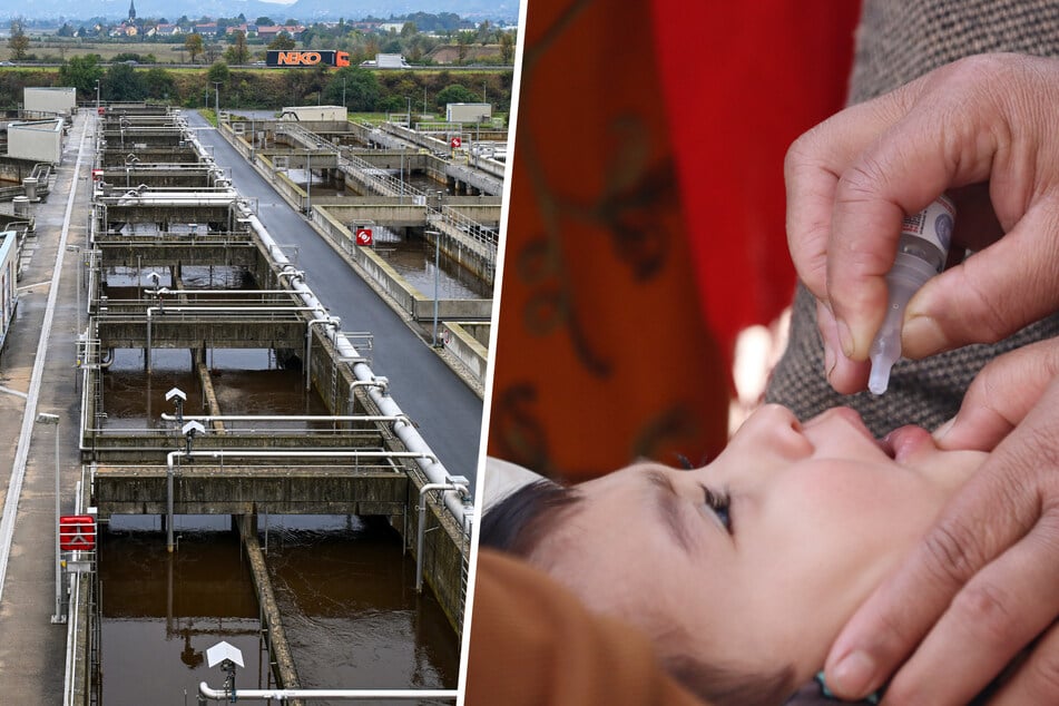 Dresden: Polio-Viren im Dresdner Abwasser entdeckt: Wie kann das sein?