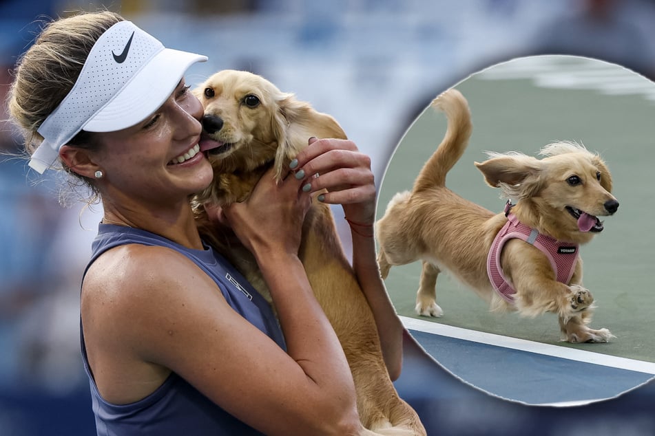 Tennis-Ass gewinnt wichtiges Spiel: Ihre erste Gratulantin lässt Herzen schmelzen