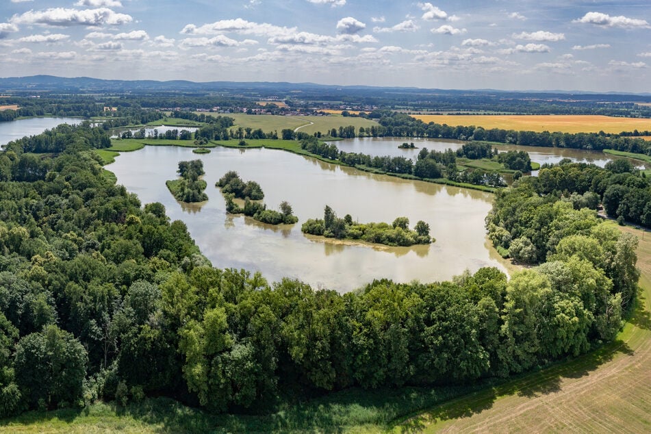 Die Teichwirtschaft prägt diese Region besonders, denn sie zählt zu den größten wirtschaftlich genutzten Teichgebieten Europas.
