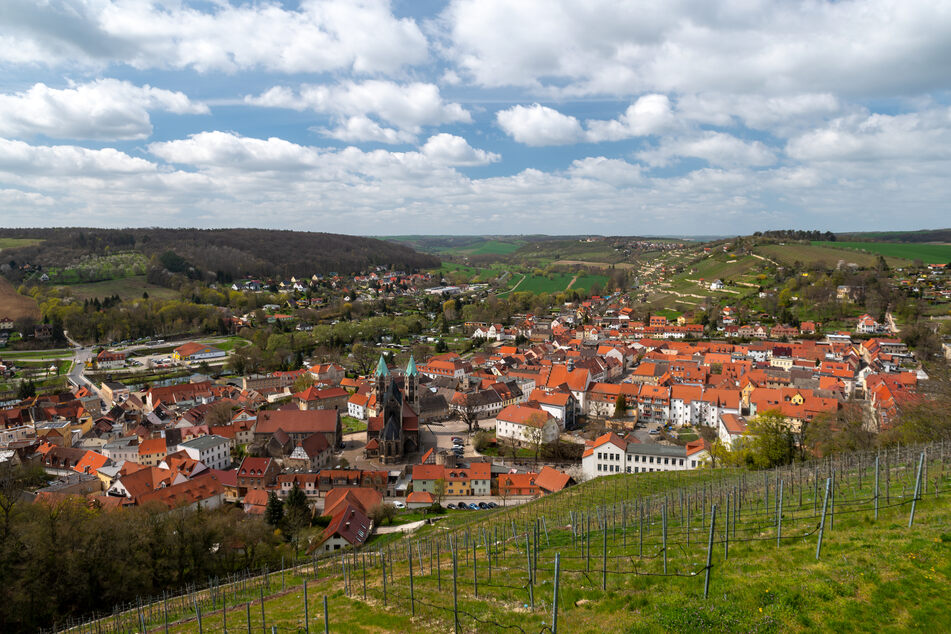 Am Wochenende findet in Freyburg das Winzerfest statt.