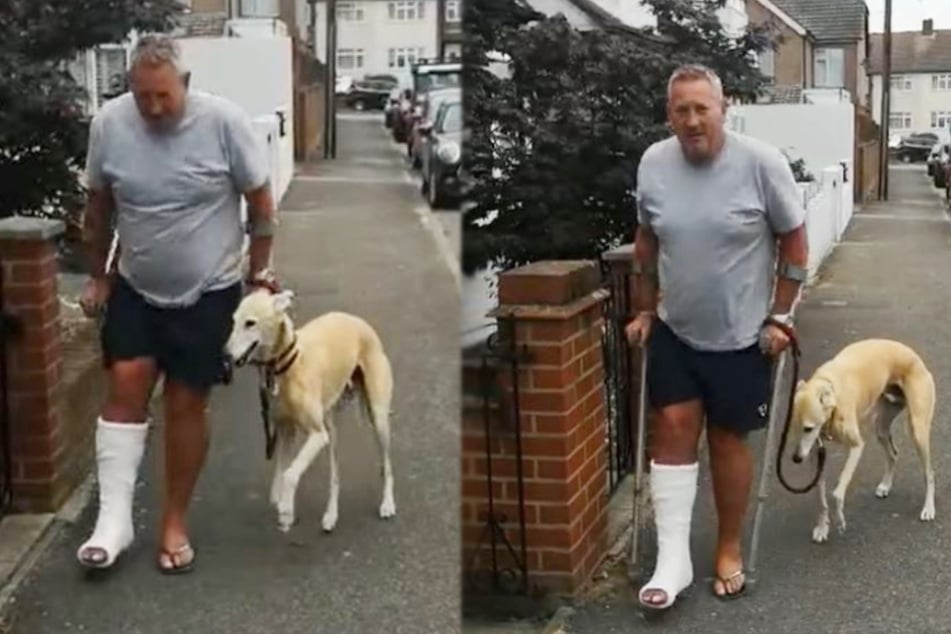 Why is this dog limping? The reason is incredibly heartwarming