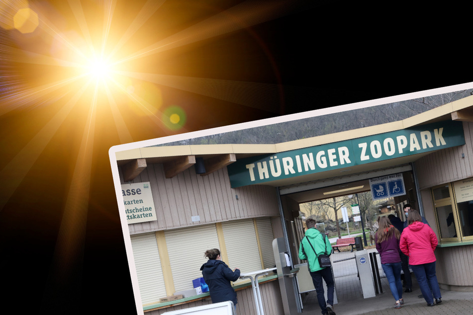 Zoopark Erfurt verschiebt die Magischen Lichternächte!