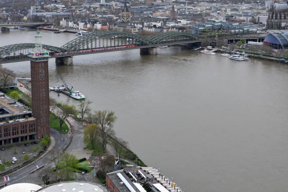 Der Rhein gilt als eine zentrale wirtschaftliche Wasserstraße in Europa, die für den Transport von Gütern und Rohstoffen von großer Bedeutung ist. (Symbolbild)